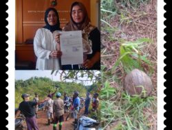 Woooow….!!!!Rusak Tanaman Orang sang Jagoan ini berakhir Laporan Polisi